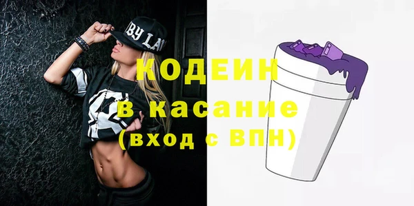 спиды Богородицк