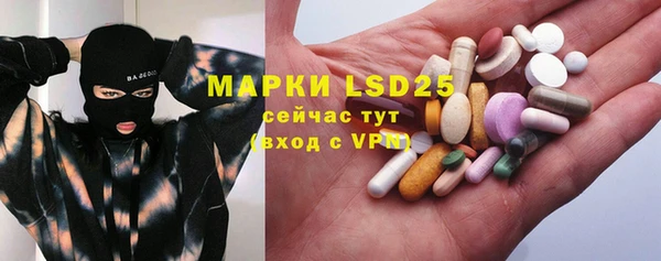 спиды Богородицк