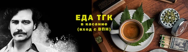 спиды Богородицк