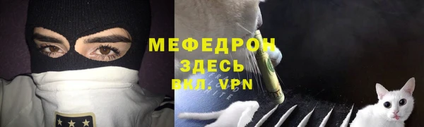спайс Богданович