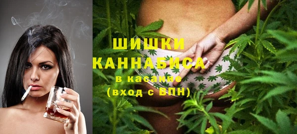 спайс Богданович