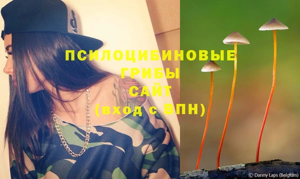 спайс Богданович