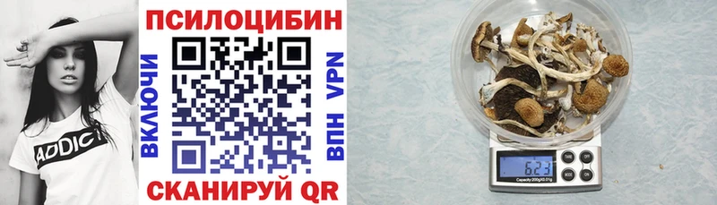 Псилоцибиновые грибы мухоморы  купить наркотик  Козельск 